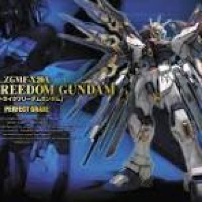 PG 1/60 STRIKE FREEDOM GUNDAM 5063056