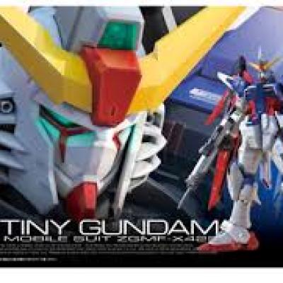 BANDAI Gundam Real Grade Series: #011 Z.A.F.T. MS ZFMF-X42S in 1/144 5061616