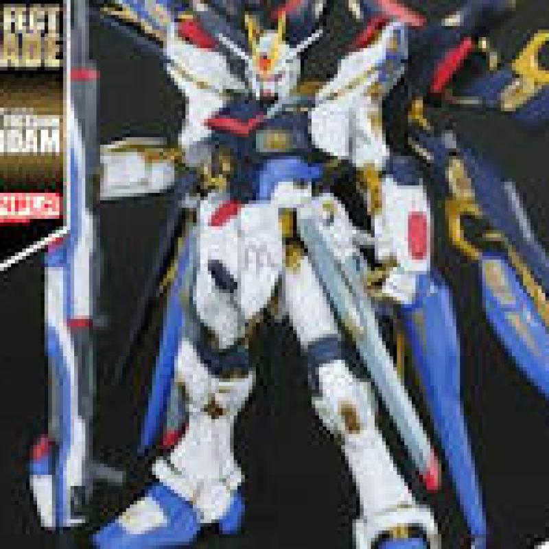 PG 1/60 STRIKE FREEDOM GUNDAM 5063056