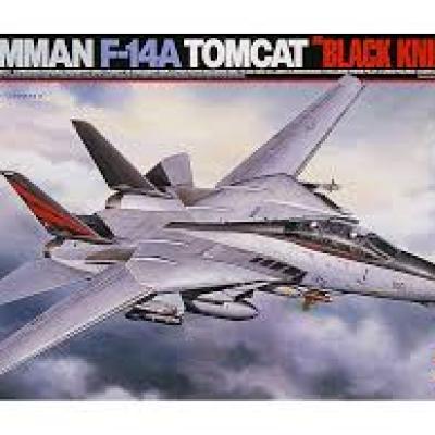 Tamiya 60313 Grumman F-14A Tomcat "Black Knight"