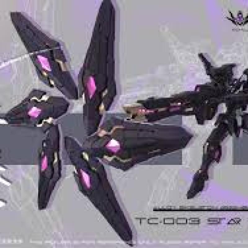 鐵創模型 星墜 1/100合金骨架組裝模型
