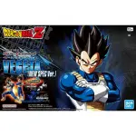 Bandai Figure-rise Standard 比達新版拼裝模型